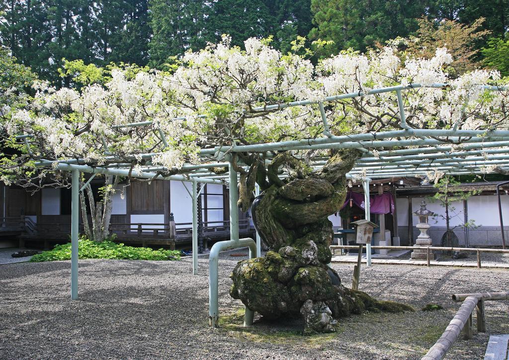 Hotel Sojiin Koyasan Esterno foto